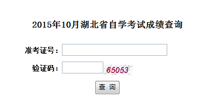 2015年10月湖北自学考试成绩查询